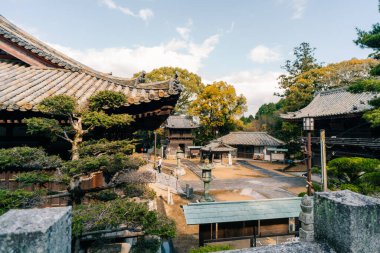 Shikoku, JAPONYA - 2 Mayıs 2025 Shikoku haccında 52 numaralı Taisanji Tapınağı. Yüksek kalite fotoğraf