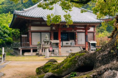 Shikoku, Japonya - 2 Mayıs 2025 Jinne-in Tapınağı No. Shikoku haccında 68 kişi. Yüksek kalite fotoğraf