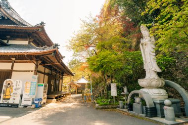 Shikoku, JAPAN - 2 Mayıs 2025 No. 58 Senyuji Tapınağı, Shikoku haccında. Yüksek kalite fotoğraf