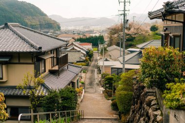 Shikoku, JAPAN - 2 Mayıs 2025 No.41 Ryuko Tapınağı, Shikoku haccında. Yüksek kalite fotoğraf
