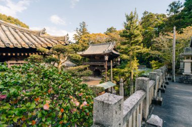 Shikoku, JAPONYA - 2 Mayıs 2025 Shikoku haccında 52 numaralı Taisanji Tapınağı. Yüksek kalite fotoğraf