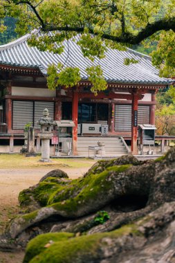 Shikoku, Japonya - 2 Mayıs 2025 Jinne-in Tapınağı No. Shikoku haccında 68 kişi. Yüksek kalite fotoğraf