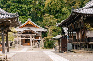 Shikoku, Japonya - 2 Mayıs 2025 No. 50 Hantaji Tapınağı, Shikoku haccında. Yüksek kalite fotoğraf
