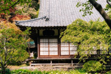 Shikoku, Japonya - 2 Mayıs 2025 Sankaku ij Tapınağı No. Shikoku haccında 65 kişi. Yüksek kalite fotoğraf