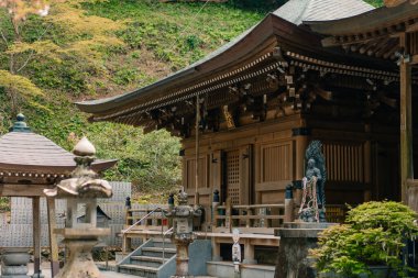  Tokushima, Japonya - 2 Mayıs 2025 No.36 Shoryu Tapınağı Shikoku haccında. Yüksek kalite fotoğraf