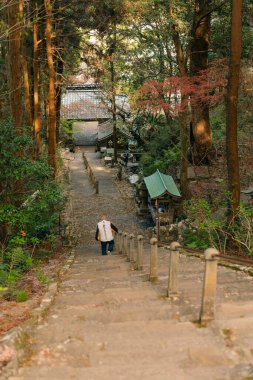  Tokushima, Japonya - 2 Mayıs 2025 No.36 Shoryu Tapınağı Shikoku haccında. Yüksek kalite fotoğraf