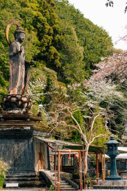  Tokushima, Japonya - 2 Mayıs 2025 No.35 Kiyotaki Tapınağı Shikoku haccında. Yüksek kalite fotoğraf