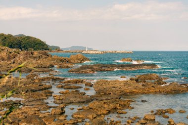 Gün batımından sonra Tosa Seinan Büyük Parkı 'ndaki sahil manzarası Kuroshio, Kochi Bölgesi, Japonya. Yüksek kalite fotoğraf