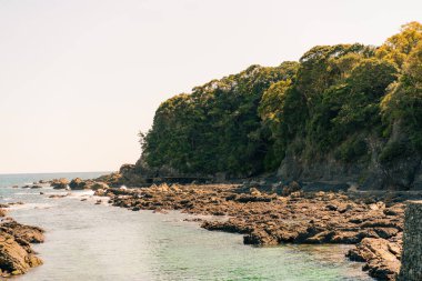 Gün batımından sonra Tosa Seinan Büyük Parkı 'ndaki sahil manzarası Kuroshio, Kochi Bölgesi, Japonya. Yüksek kalite fotoğraf
