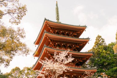  Tokushima, Japonya - 2 Mayıs 2025 No.31 Chikurin Tapınağı Shikoku haccında. Yüksek kalite fotoğraf