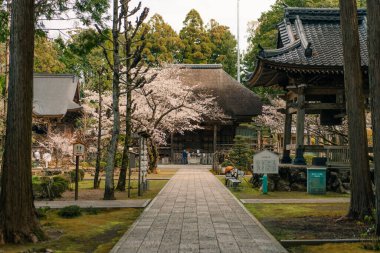  Tokushima, Japonya - 2 Mayıs 2025 29. tapınak, Tosa Kokubunji Shikoku haccında. Yüksek kalite fotoğraf