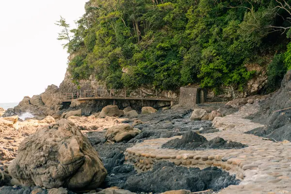 Gün batımından sonra Tosa Seinan Büyük Parkı 'ndaki sahil manzarası Kuroshio, Kochi Bölgesi, Japonya. Yüksek kalite fotoğraf
