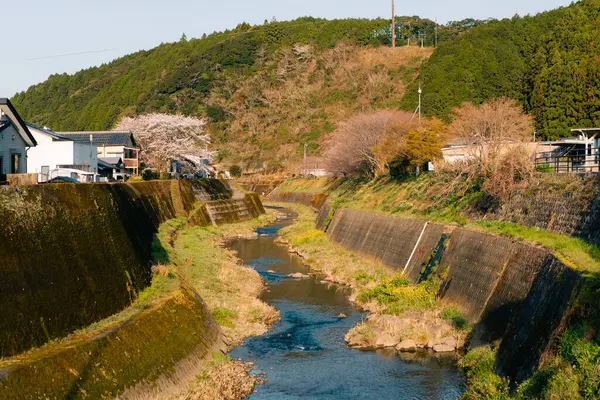 Kochi, Japonya. Shimanto şehrinde 8 Ağustos 2025 kırsal bölge. Yüksek kalite fotoğraf