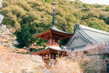  Tokushima, Japonya - 2 Mayıs 2025 No.36 Shoryu Tapınağı Shikoku haccında. Yüksek kalite fotoğraf