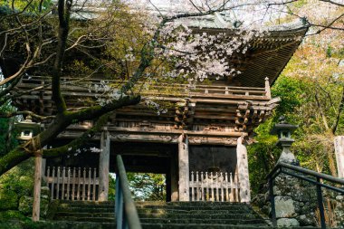  Tokushima, Japonya - 2 Mayıs 2025 No.31 Chikurin Tapınağı Shikoku haccında. Yüksek kalite fotoğraf