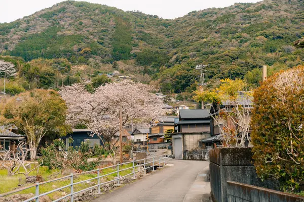  Tokushima, Japonya - 2 Mayıs 2025 No.34 Tanema Tapınağı Shikoku haccında. Yüksek kalite fotoğraf