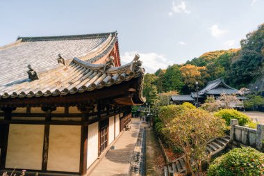 Shikoku, JAPONYA - 2 Mayıs 2025 Shikoku haccında 52 numaralı Taisanji Tapınağı. Yüksek kalite fotoğraf