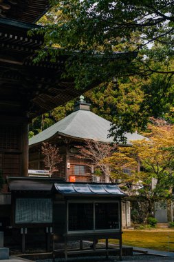 Shikoku, Japonya - 2 Mayıs 2025 Sankaku ij Tapınağı No. Shikoku haccında 65 kişi. Yüksek kalite fotoğraf