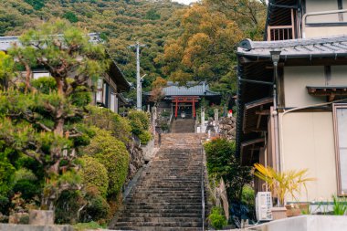 Shikoku, JAPAN - 2 Mayıs 2025 No.41 Ryuko Tapınağı, Shikoku haccında. Yüksek kalite fotoğraf