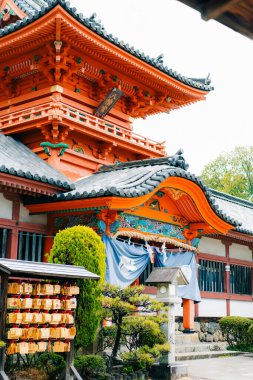 Matsuyama, Japonya - 22 Mayıs 2025 Matsuyama şehrinde bir Shinto türbesi olan Isaniwa Jinja Ana Salonu. Yüksek kalite fotoğraf