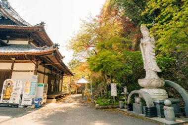 Shikoku, JAPAN - 2 Mayıs 2025 No. 58 Senyuji Tapınağı, Shikoku haccında. Yüksek kalite fotoğraf