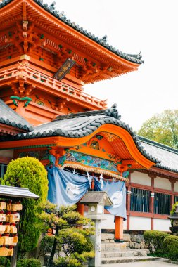 Matsuyama, Japonya - 22 Mayıs 2025 Matsuyama şehrinde bir Shinto türbesi olan Isaniwa Jinja Ana Salonu. Yüksek kalite fotoğraf