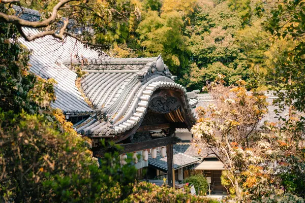 Shikoku, Japonya - 2 Mayıs 2025 No. 54 Enmei Tapınağı, Shikoku haccında. Yüksek kalite fotoğraf