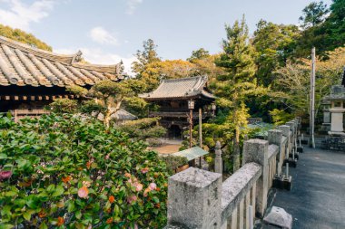 Shikoku, JAPONYA - 2 Mayıs 2025 Shikoku haccında 52 numaralı Taisanji Tapınağı. Yüksek kalite fotoğraf