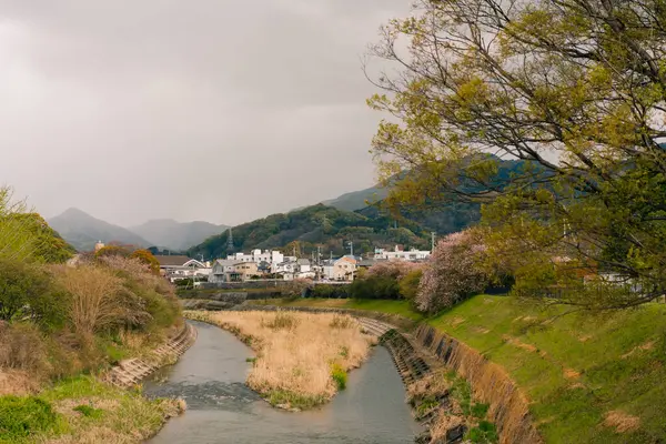 Matsuyama Şehri, Ehime Bölgesi, Japonya. Yüksek kalite fotoğraf