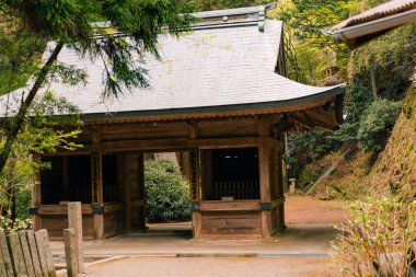 Shikoku, Japonya - 2 Mayıs 2025 Yokomine Tapınağı 60, Shikoku haccında. Yüksek kalite fotoğraf