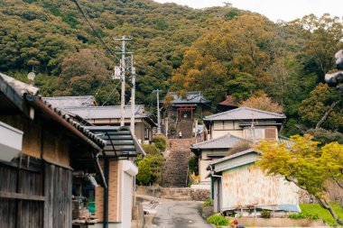 Shikoku, JAPAN - 2 Mayıs 2025 No.41 Ryuko Tapınağı, Shikoku haccında. Yüksek kalite fotoğraf