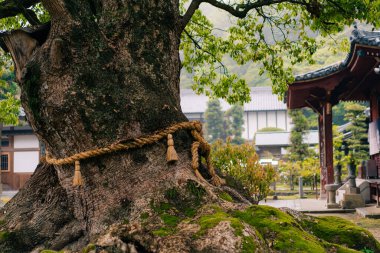 Shikoku, Japonya - 2 Mayıs 2025 Jinne-in Tapınağı No. Shikoku haccında 68 kişi. Yüksek kalite fotoğraf