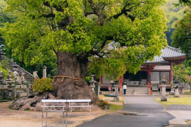 Shikoku, Japonya - 2 Mayıs 2025 Kannon Tapınağı No. Shikoku haccında 69. Yüksek kalite fotoğraf