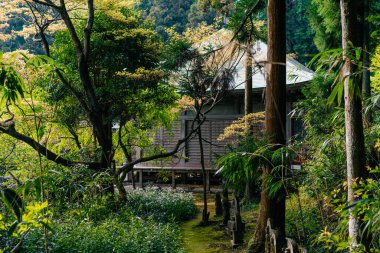 Shikoku, Japonya - 2 Mayıs 2025 Sankaku ij Tapınağı No. Shikoku haccında 65 kişi. Yüksek kalite fotoğraf
