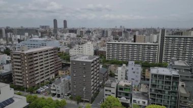Tokyo, Japonya - 10 Ağustos 2025 Kiba Parkı hava manzaralı