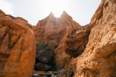  Kok-Moinok canyon in Kyrgyzstan in sunny day. High quality photo