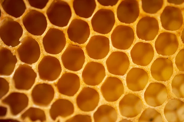 蜂窝中的蜂窝是由蜜蜂在蜂窝中建造的大量的六角形原始蜡细胞 用来储存蜂窝中的幼虫以及蜂蜜和花粉 蜂蜜和它的梳子是可以吃的 这里有一个蜂蜜梳子 形成一个美丽的纹理图案背景 — 图库照片