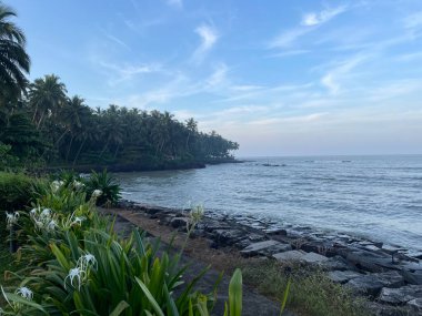 Güzel kıyı manzarasının sükunetini kucaklayın. Rüzgarda hafifçe sallanan palmiye ağaçları engin okyanusu kayalık kıyılarıyla çerçeveliyor. Görüntü bir huzur hissi uyandırıyor. 