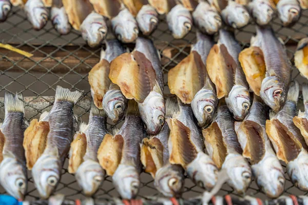Сушеная Кефаль Сушеные Соленые Рыбки Кефаль Группы Солнечным Освещением Рыба — стоковое фото