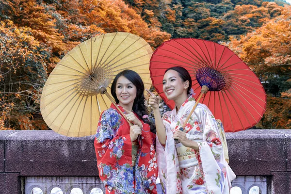 Дві Дівчинки Традиційному Кімоно Кімоно Тримають Парасольку Токіо Восени Мосту — стокове фото