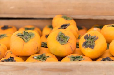 Taze sebzeler. Hurma ya da erik arkaplanı. Bir sepet hurma..