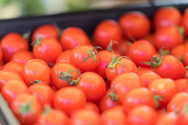 Frisches Gemüse Tomaten Korb Tomatenhintergrund — Stockfoto