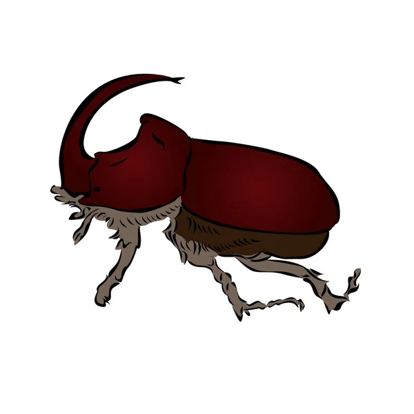 サイムシベクトル サイの甲虫 白い背景のサイの甲虫 — ストックベクタ