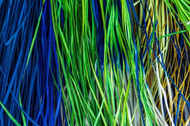 Toei Panan, Trang Eyaleti Güney Tayland sepetleri ve çantalar gibi aletler örmek için kullanılan yapraklar..