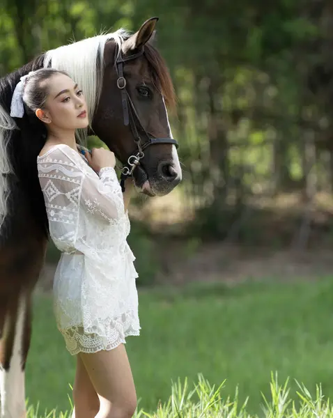 Beautiful Bride Dress Horse Young Woman White Dress Horse — Stock Photo, Image
