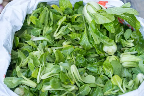 Fresh Chinese Green Cabbage Pak Choi Bag — Stock Photo, Image