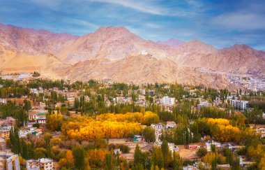 Ladakh Hindistan 'ın sonbahardaki manzara manzarası. Himalayalar, Ladakh, Hindistan.
