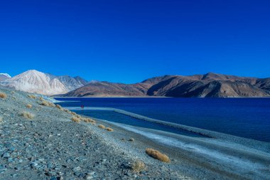 Leh ladakh, Hindistan 'da dağ ve mavi gökyüzü ile Pangong Gölü.