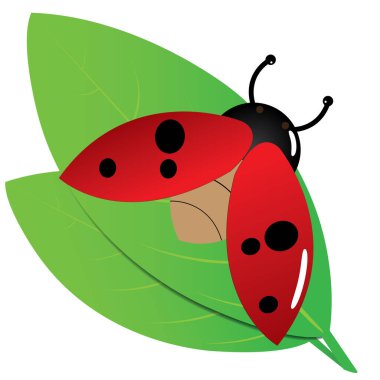 Uğur böceği yaprağa doğru uçar. Yapraktaki hata.