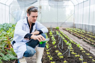 Bilim adamları sebze arsaları üzerinde deneyler yapıyorlar. Bilim çiftçileri ekim sırasında su koşullarını kontrol ediyorlar..
